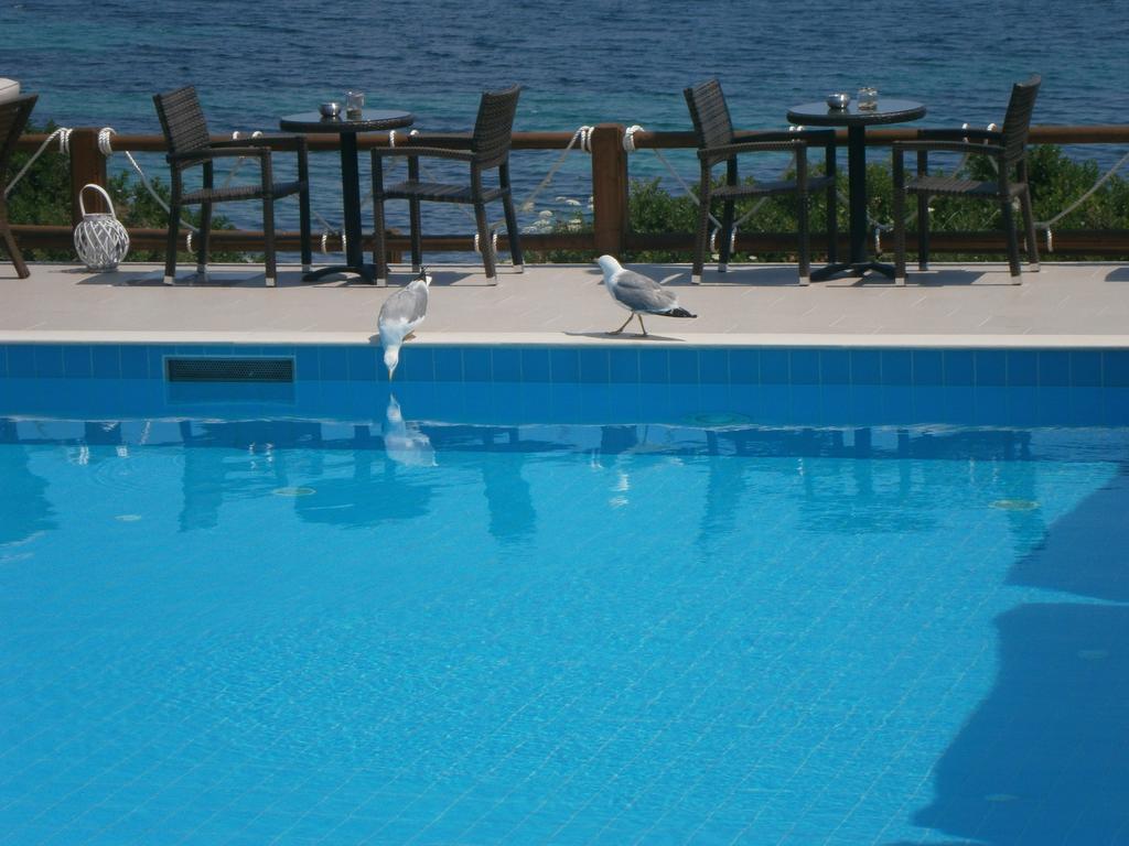 Barbagiannis House Apartment Ormos Panagias Ruang foto