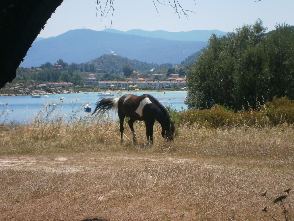 Barbagiannis House Apartment Ormos Panagias Ruang foto